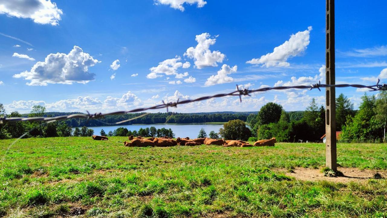 Masuria Resort Village, całoroczne domki z widokiem na jezioro, sauna i jacuzzi Zywki Zewnętrze zdjęcie