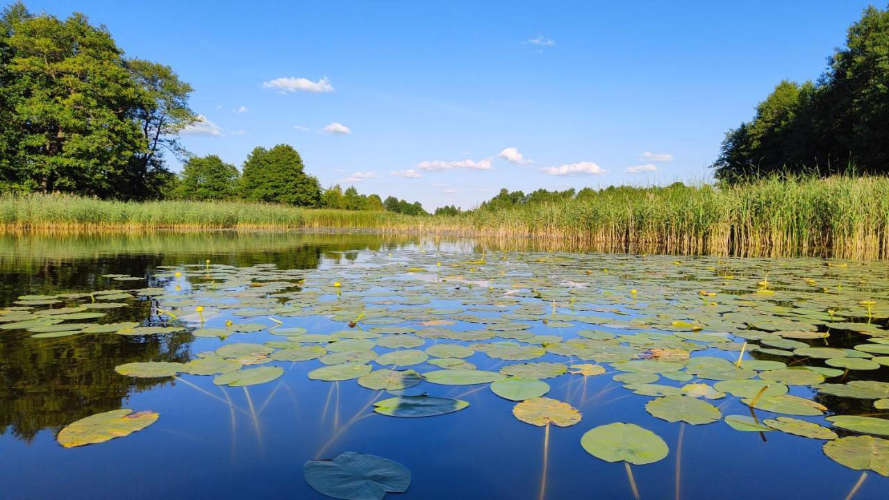 Masuria Resort Village, całoroczne domki z widokiem na jezioro, sauna i jacuzzi Zywki Zewnętrze zdjęcie