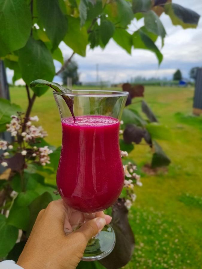 Masuria Resort Village, całoroczne domki z widokiem na jezioro, sauna i jacuzzi Zywki Zewnętrze zdjęcie